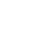 Seefinn Sanctuary Logo